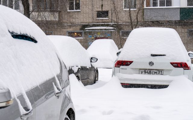 Выяснилось, когда в Воронеже будет самая лютая ночь с холодами до -29°