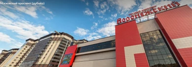 Пятеро мужчин похитили детей у воронежского ТЦ