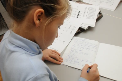 Почти половина воронежских школ ушла на дистант из-за аномальных холодов