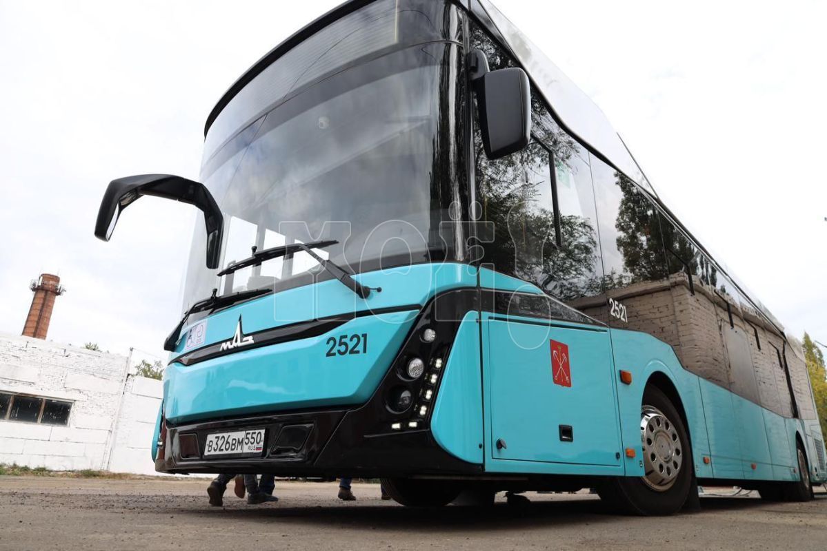 Электробусы исчезнут с воронежских улиц?