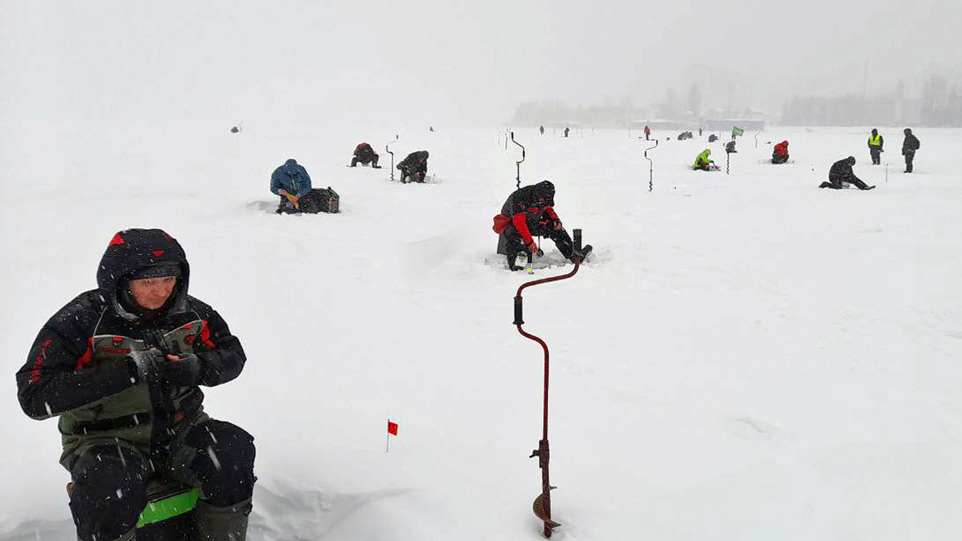 Успехи воронежских спортсменов за последнюю неделю января