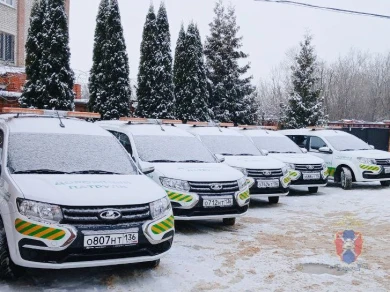 Выяснилось, как вызвать бесплатных аварийных комиссаров при ДТП в Воронеже