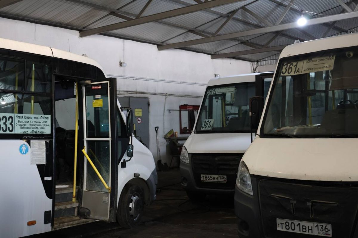 Пять новых маршрутов будут курсировать под&nbsp;Воронежем