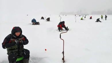 Странный трофей для рыбаков и неудачи «Бурана». Воронежцам рассказали о новостях спорта