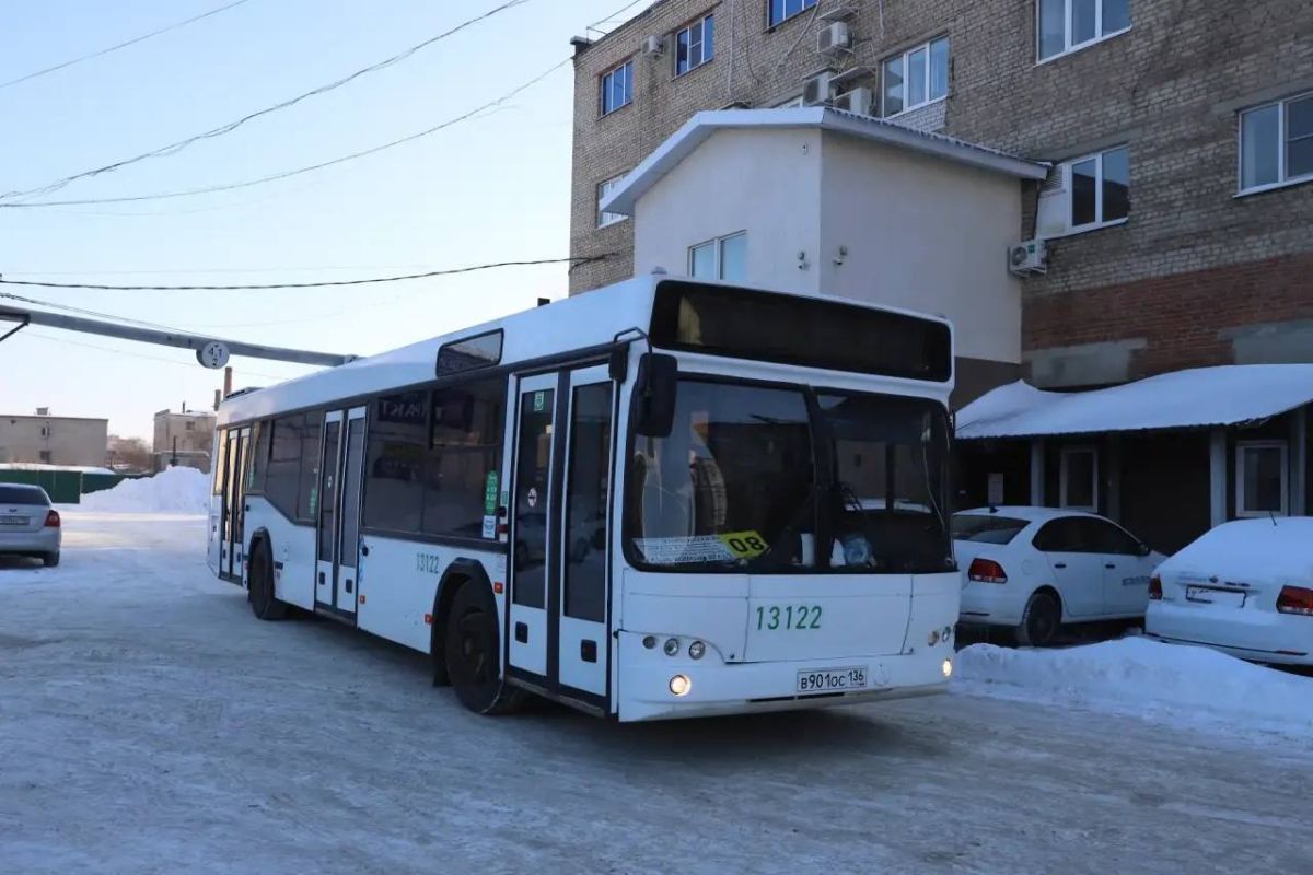 Новые автобусы вышли на популярный воронежский маршрут