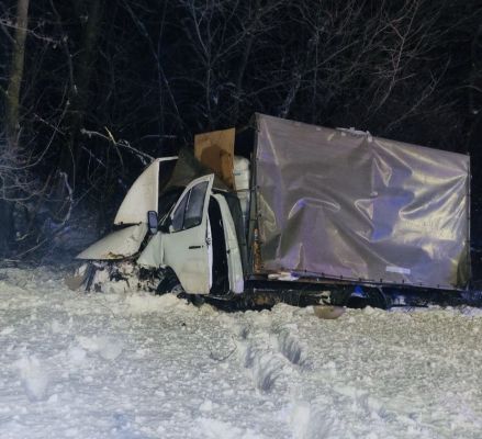 Мужчина на иномарке влетел в «ГАЗель» и попал в больницу под Воронежем