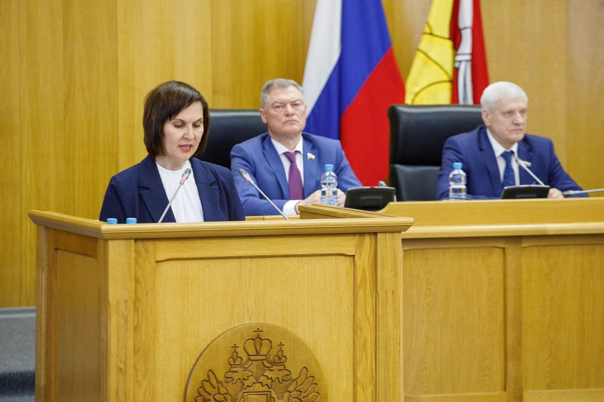 Перечень особо значимых инвестиционных проектов региона актуализировала Воронежская областная Дума&nbsp;
