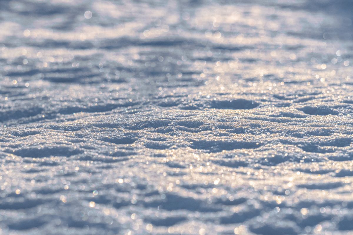 Три опасных погодных явления обрушатся на&nbsp;Воронежскую область