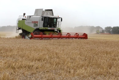 Больше ста тысяч тонн нелегального зерна обнаружили в Воронежской области