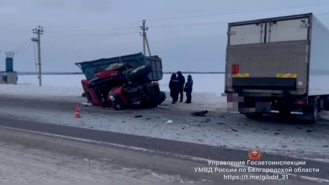 Трактор завалился на бок после столкновения с иностранной фурой под Белгородом