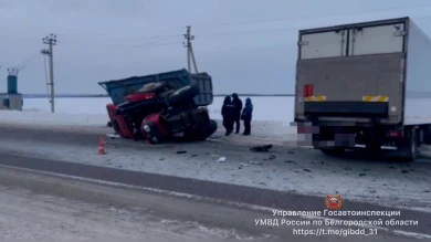 Трактор завалился на бок после столкновения с иностранной фурой под Белгородом