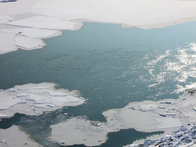 Доступ к реке перекрыл владелец участка под Воронежем