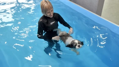 Как в Воронеже появился необычный бассейн