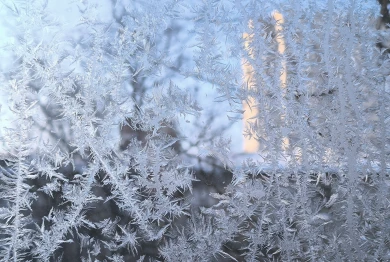Прогноз погоды в Воронеже на воскресенье, 8 февраля