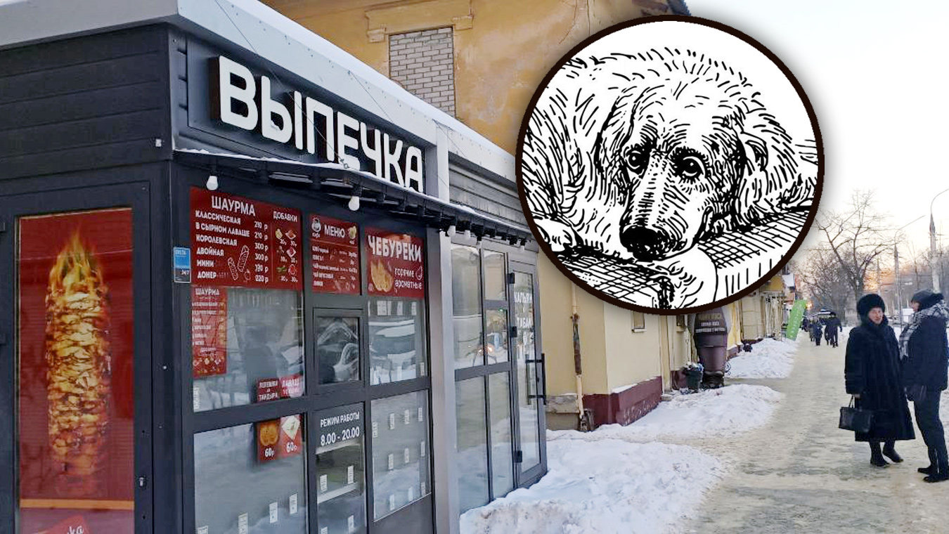 «Рекси стал извиваться и биться в конвульсиях»