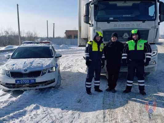 Водитель большегруза в мороз остался без топлива посреди воронежской трассы