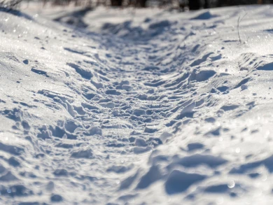 Потепление до +3° нагрянет в Воронежскую область 