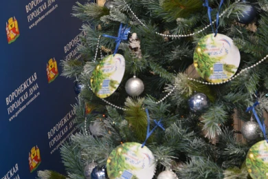 Детские мечты сбылись благодаря депутатам Воронежской городской Думы 