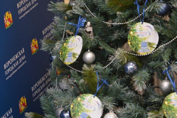 Детские мечты сбылись благодаря депутатам Воронежской городской Думы 