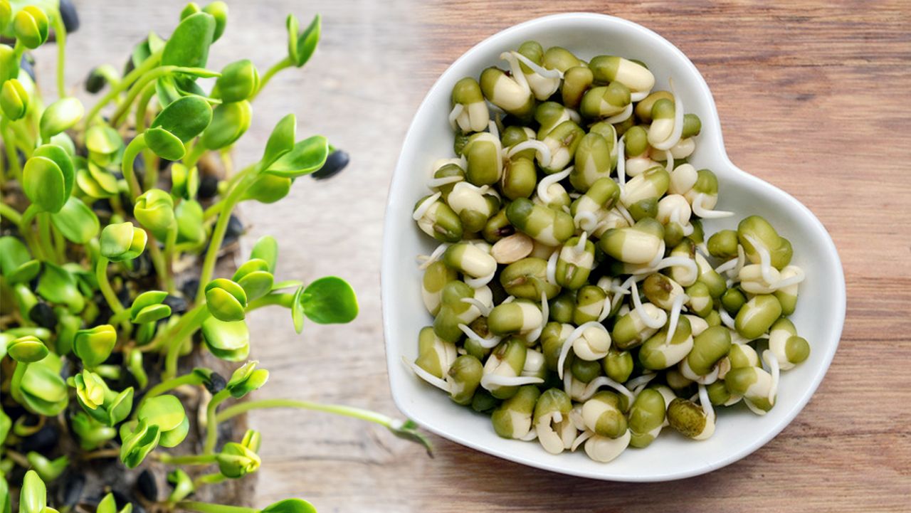 Чем полезны проращённые зёрна и кому они противопоказаны&nbsp;