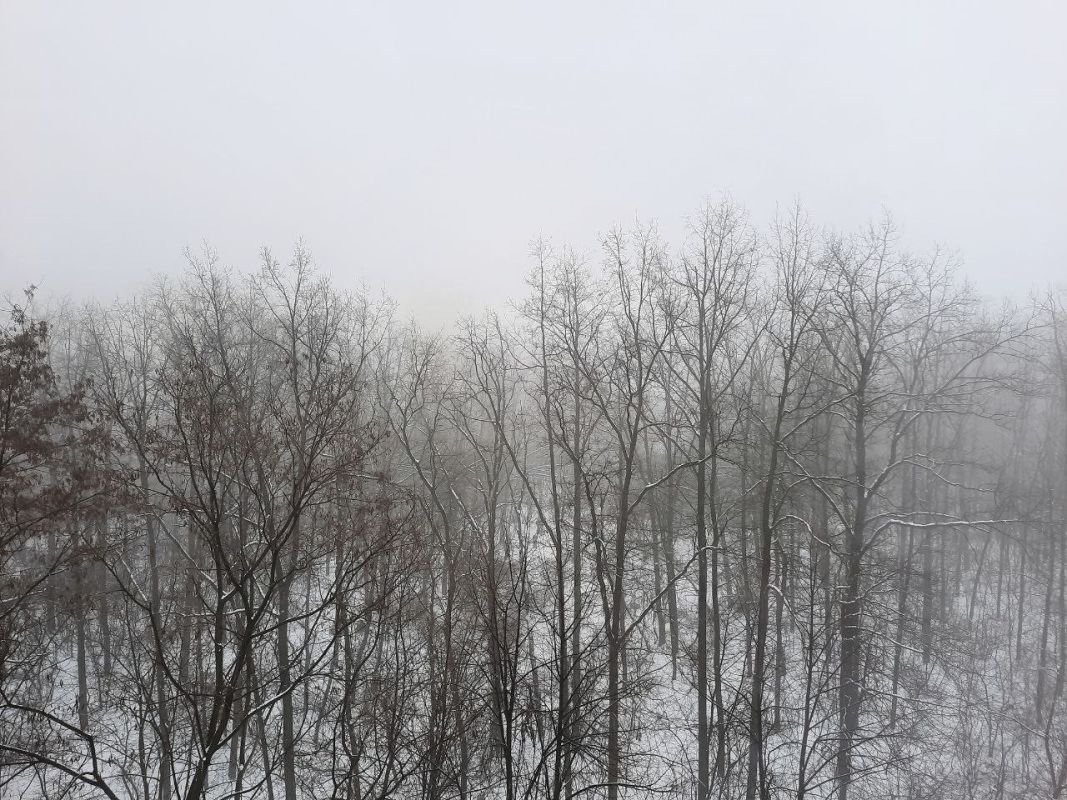 Два опасных погодных явления обрушатся на Воронежскую область&nbsp;