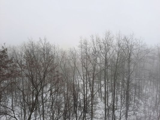 Два опасных погодных явления обрушатся на Воронежскую область 