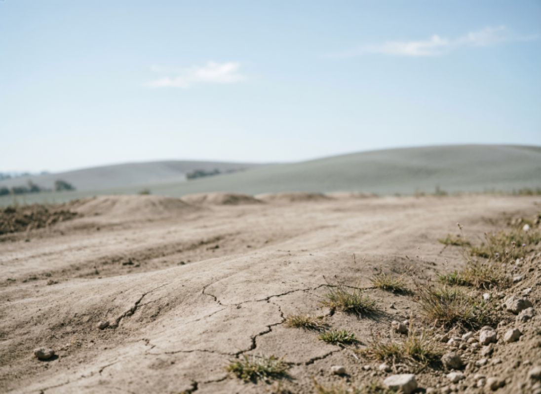 Липецкие чиновники отняли у «Куриного царства» 60 га земли за срыв стройки