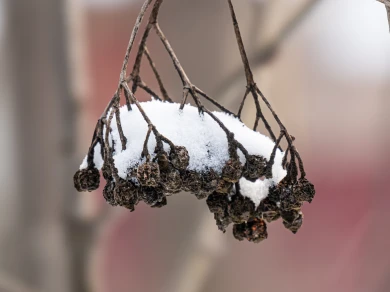 Весеннее настроение или возвращение зимы? Воронежцам рассказали о погоде на выходных