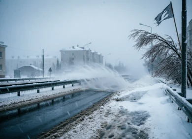 На Белгородскую область надвигается метель с ураганным ветром