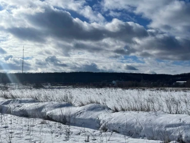 Прогноз погоды в Воронеже на понедельник, 16 февраля