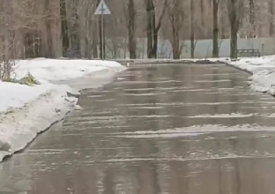 «Речка-вонючка» на пересечении улиц возмутила воронежцев