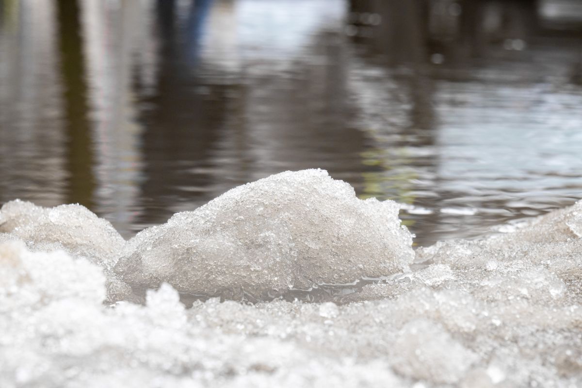 Морозы окончательно уйдут? Какая погода будет на рабочей неделе в Воронеже