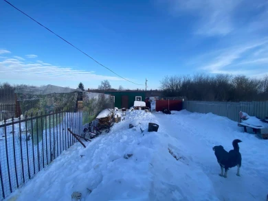 Белгородский зооволонтер украл корм у бездомных животных и обменял на водку