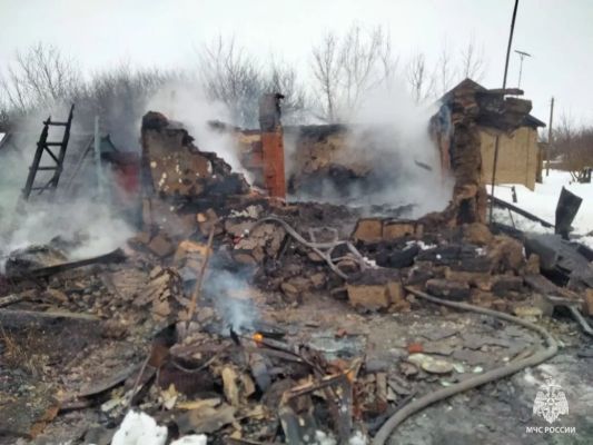 Выяснились подробности смертельного пожара в Воронежской области