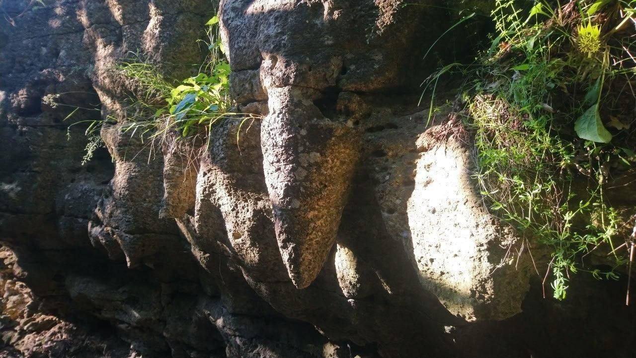 Краевед-энтузиаст 20 лет создает фильмы о подземных тайнах Липецкой области