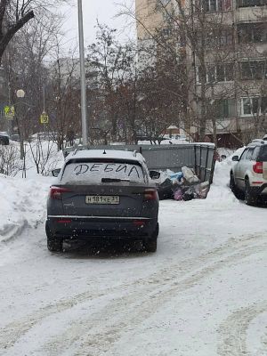 Наглому парковщику в Белгороде исписали машину обидными словами