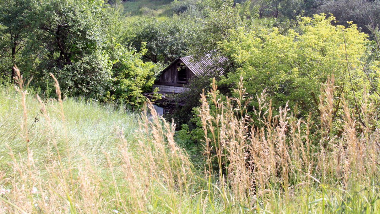 Будут ли наказывать воронежцев за&nbsp;неосвоение земельного участка