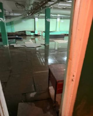 Студенты педколледжа в Белгороде пожаловались на тараканов и затопленный подвал