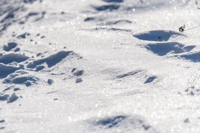 Снегопад накрыл Воронеж: когда он закончится?