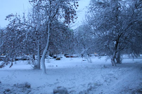 Прогноз погоды в Воронеже на четверг, 19 февраля