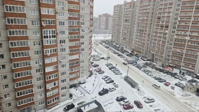 Снежная буря накрыла Воронеж: горожан предупреждают об опасности 