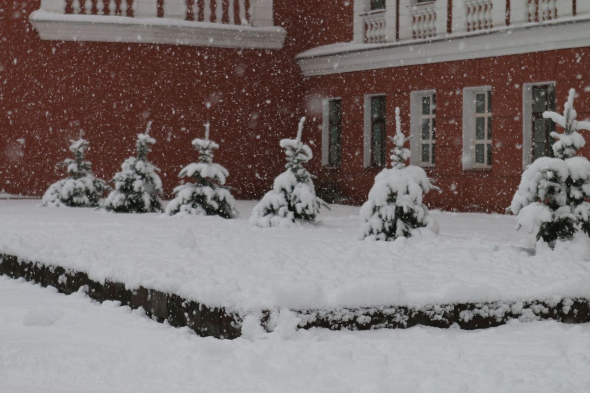 Придёт ли в Воронеж мощный циклон «Валли», заваливший снегом столицу