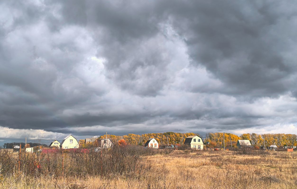 Государство заменило публичную кадастровую карту Росреестра на&nbsp;новый сервис