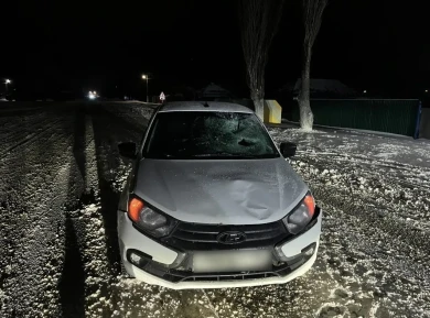 Роковой ошибкой обернулась попытка обгона в Воронежской области 