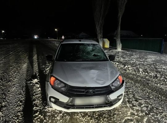 Роковой ошибкой обернулась попытка обгона в Воронежской области 