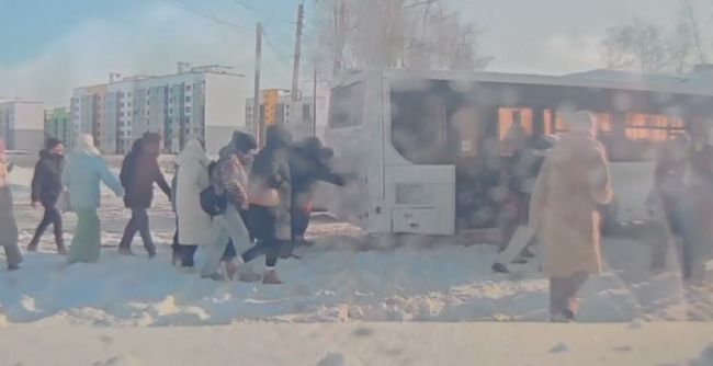 Пассажиры вытолкали увязший в снегу воронежский автобус