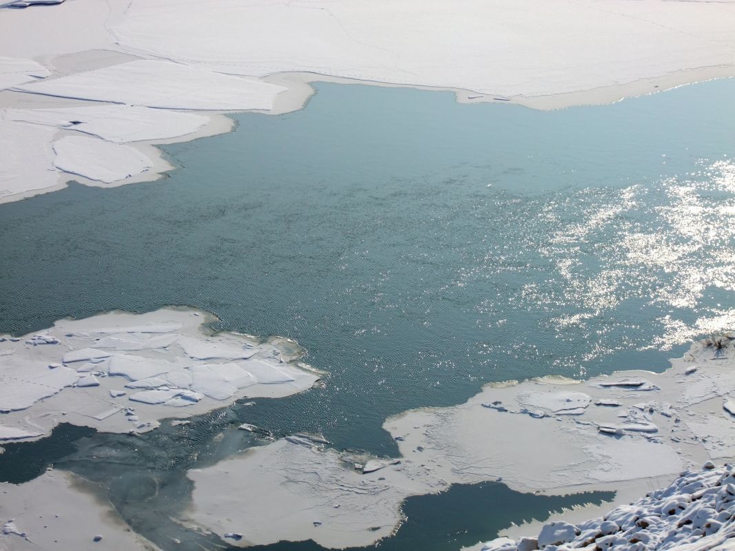 Заставочное фото