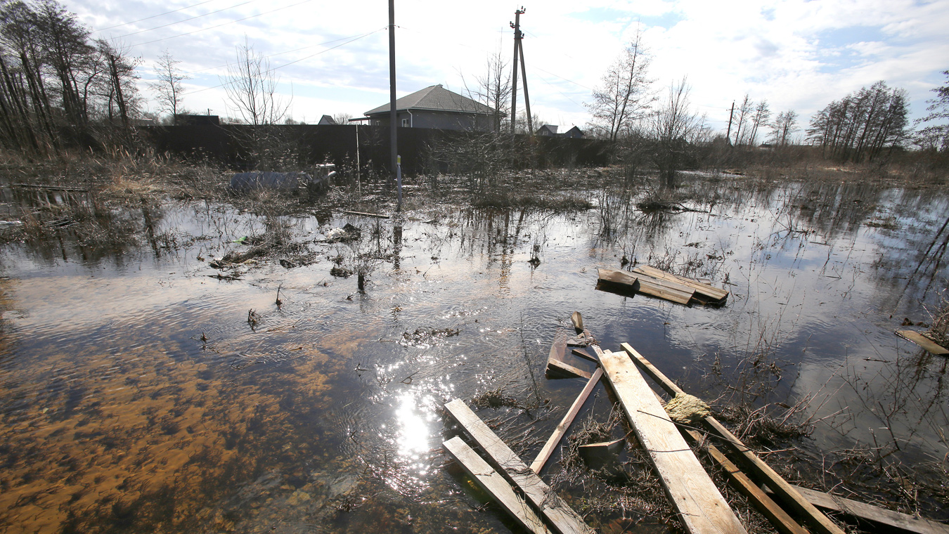 От паводка могут пострадать 556 домов в 14 населённых пунктах Воронежской област...