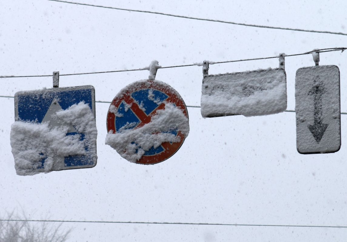 Воронежцев попросили не парковаться в центре города