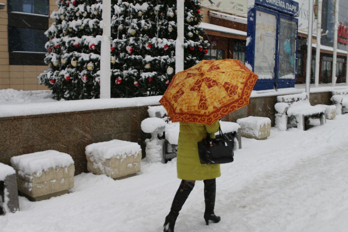 Снег вновь нагрянет в&nbsp;Воронеж